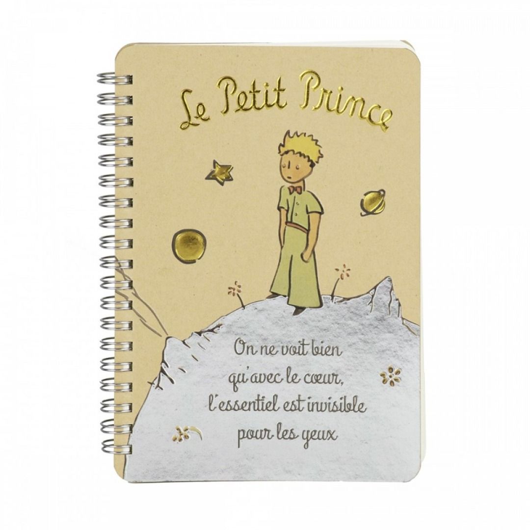 THE LITTLE PRINCE quaderno
